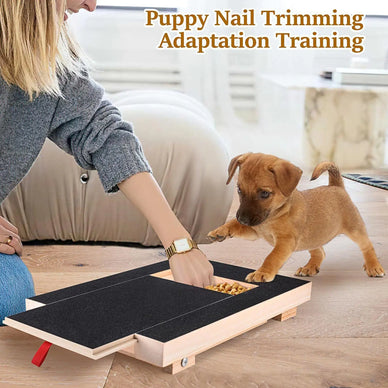 Keep Paws Healthy, Effortlessly Every Day...
